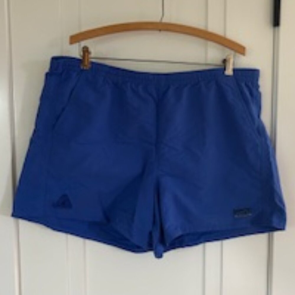 Women's Patagonia Baggies 5 inch shorts - size XL